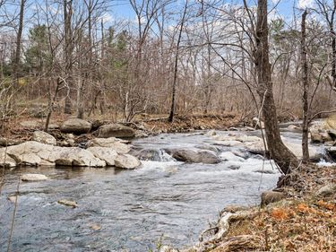 94 OLD HOLLOW ROAD , SPERRYVILLE, VA 22740