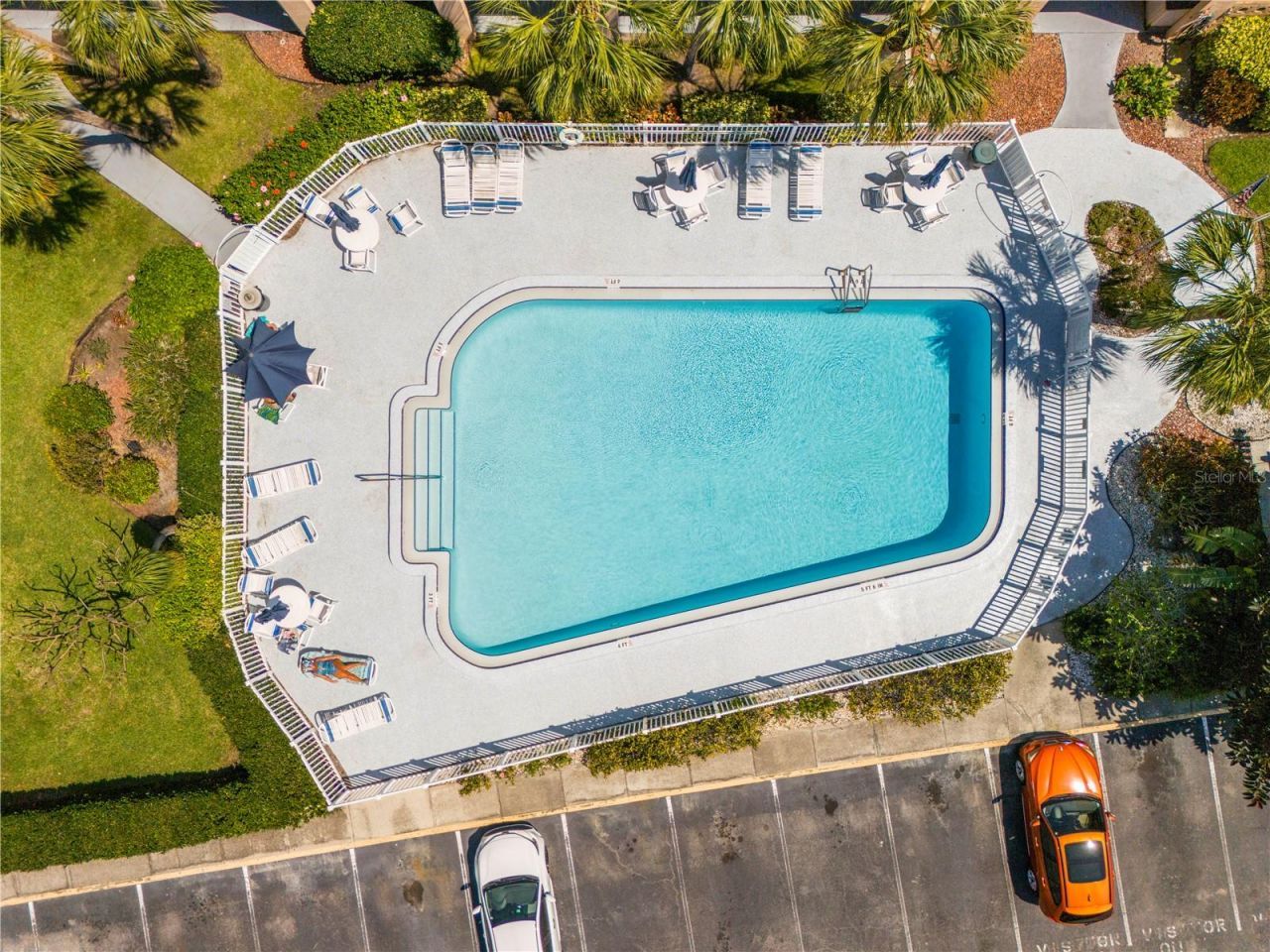 2525 W Bay Drive, Unit C21, Belleair Bluffs, FL 33770 Photo