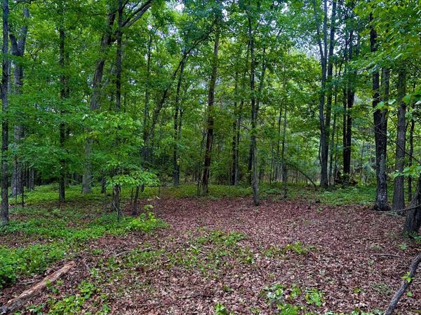 0 Highway 2, Dalton, GA 30721