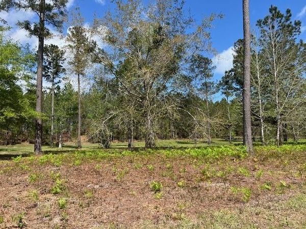 235 Salt Creek Way E, Brunswick, GA 31523