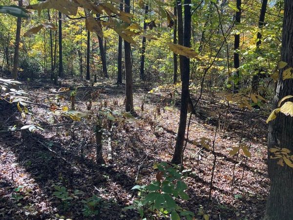 0 Poplar Lane Road , Albemarle, NC 28001