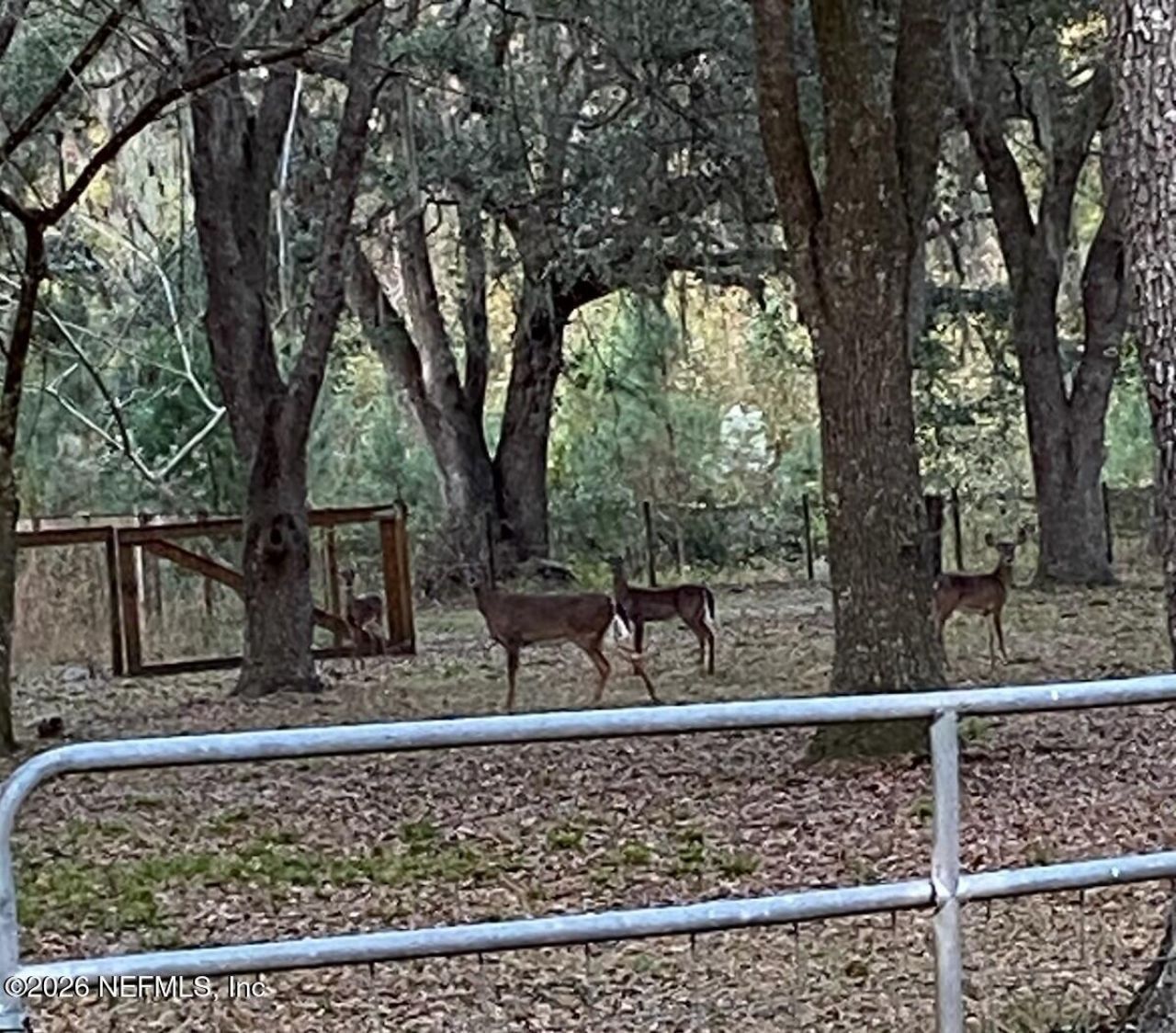 5824 Jones Creek Road, Keystone Heights, FL 32656 Photo