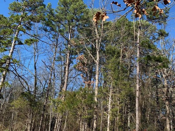 Lot 4 Thelma Street , Heber Springs, AR 72543