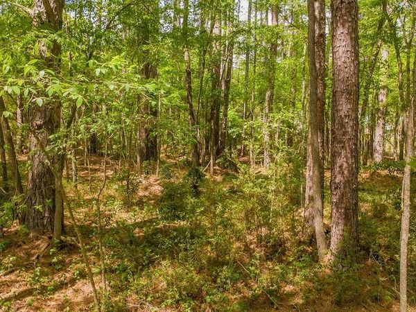 1723 Pineview Lane, Hideaway, TX 75771