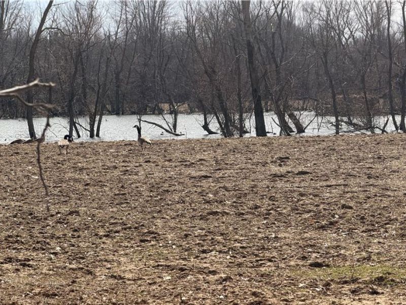 Us-20, Oberlin, OH 44074 Photo 10