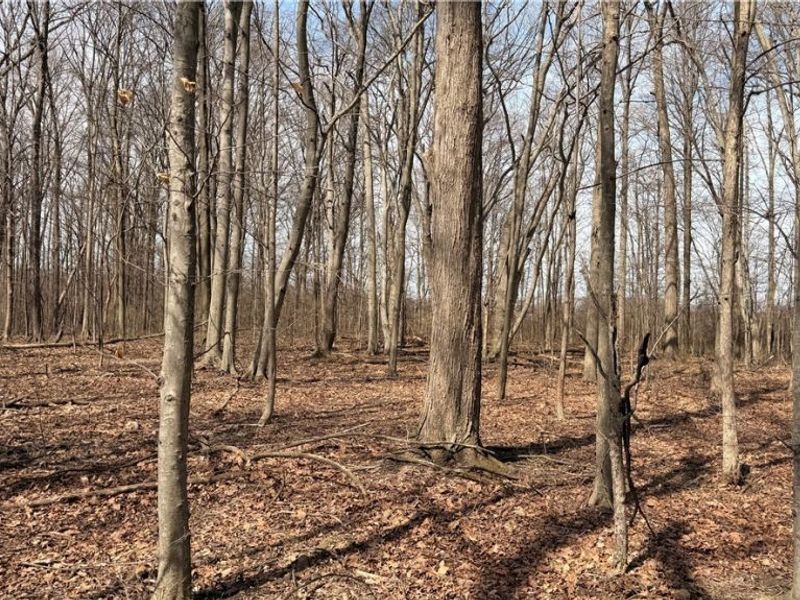 Us-20, Oberlin, OH 44074 Photo 11