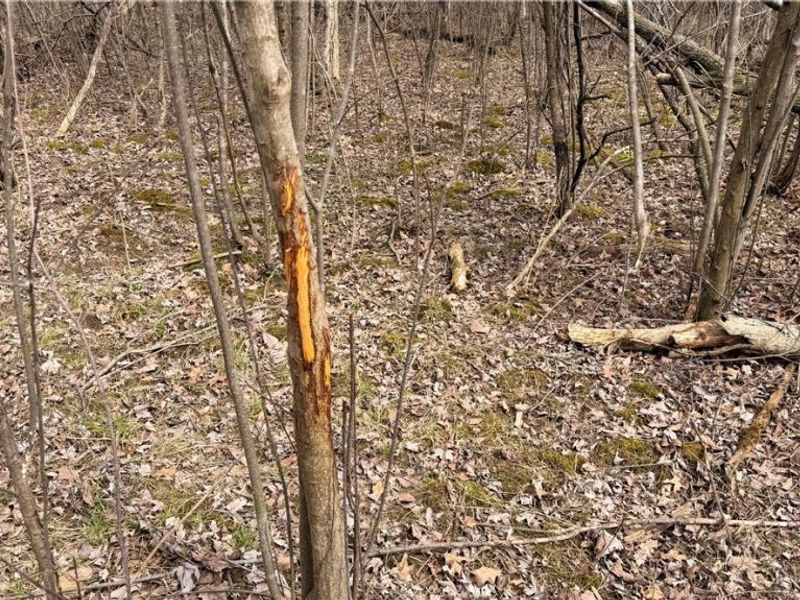 Us-20, Oberlin, OH 44074 Photo 12