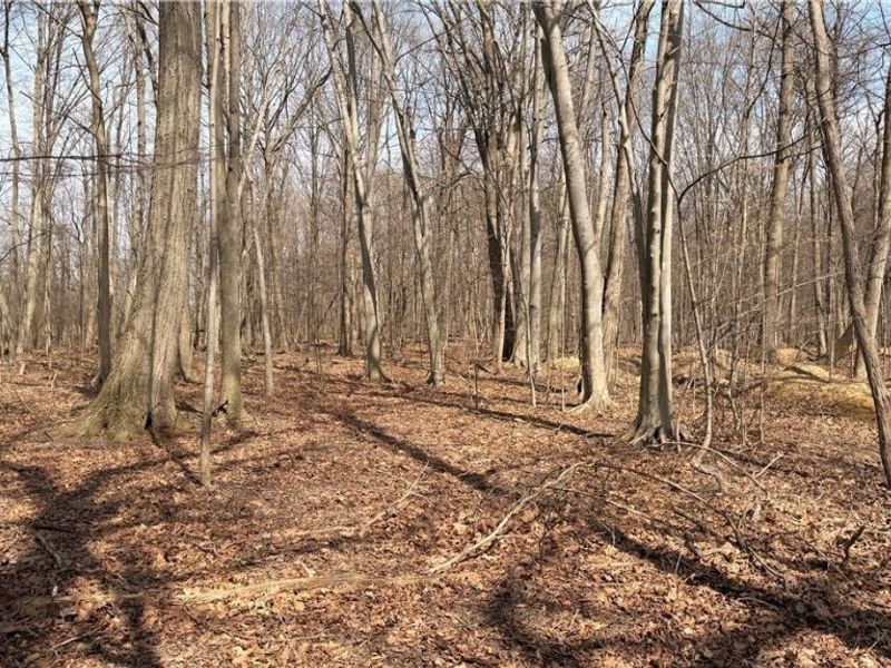 Us-20, Oberlin, OH 44074 Photo 13