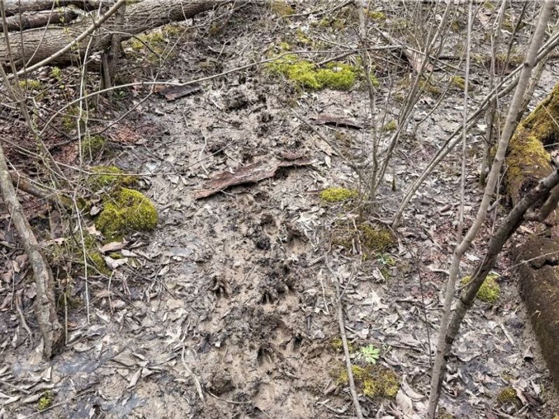 Us-20, Oberlin, OH 44074 Photo 16