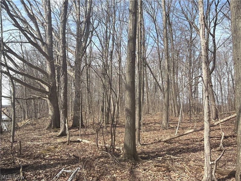 Us-20, Oberlin, OH 44074 Photo 17