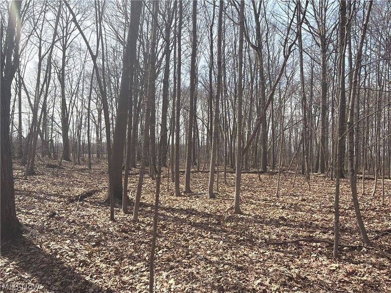 Us-20, Oberlin, OH 44074 Photo 18