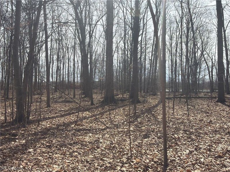 Us-20, Oberlin, OH 44074 Photo 19