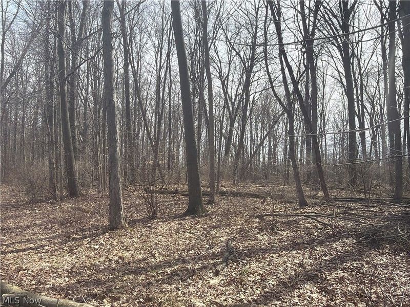 Us-20, Oberlin, OH 44074 Photo 20