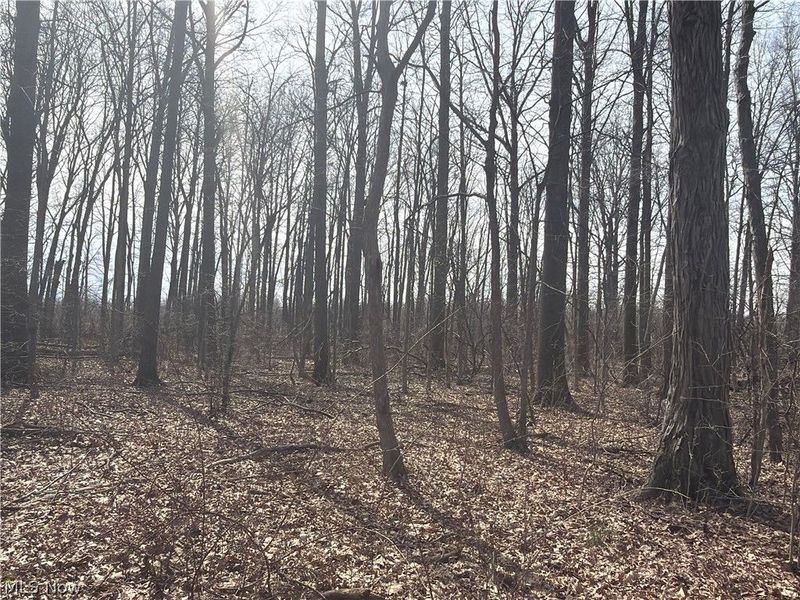 Us-20, Oberlin, OH 44074 Photo 21