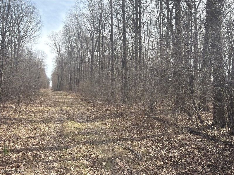 Us-20, Oberlin, OH 44074 Photo 23