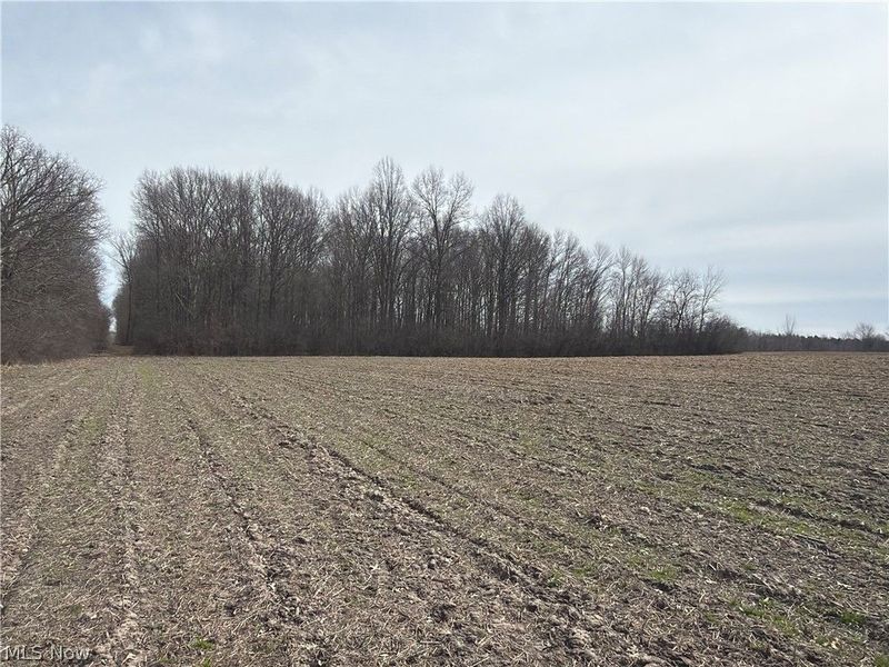 Us-20, Oberlin, OH 44074 Photo 25