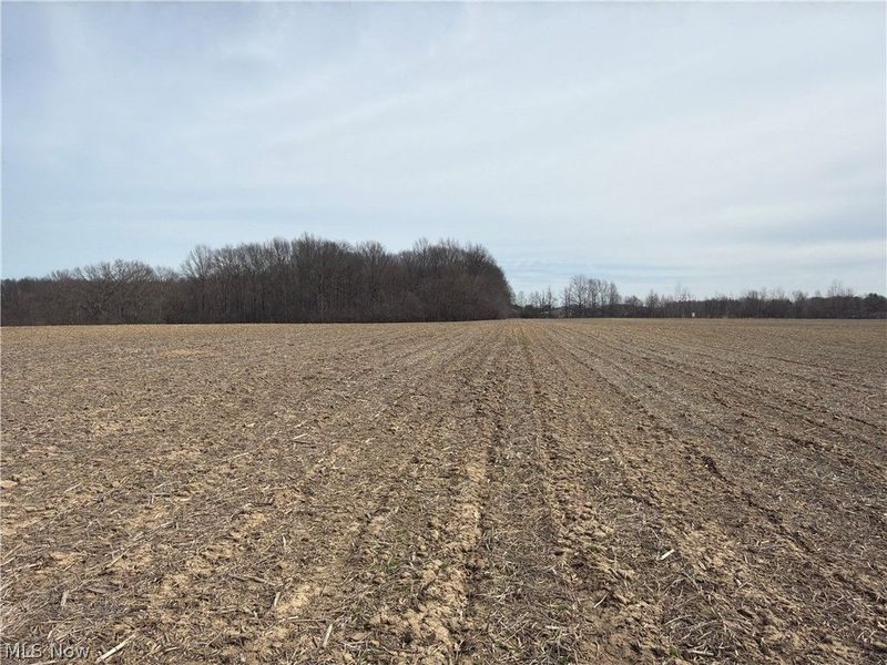 Us-20, Oberlin, OH 44074 Photo 26