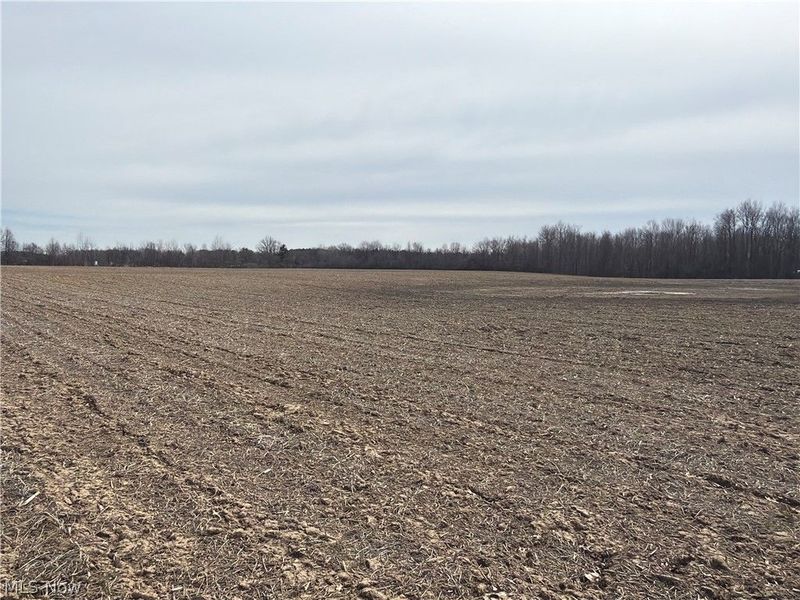 Us-20, Oberlin, OH 44074 Photo 27