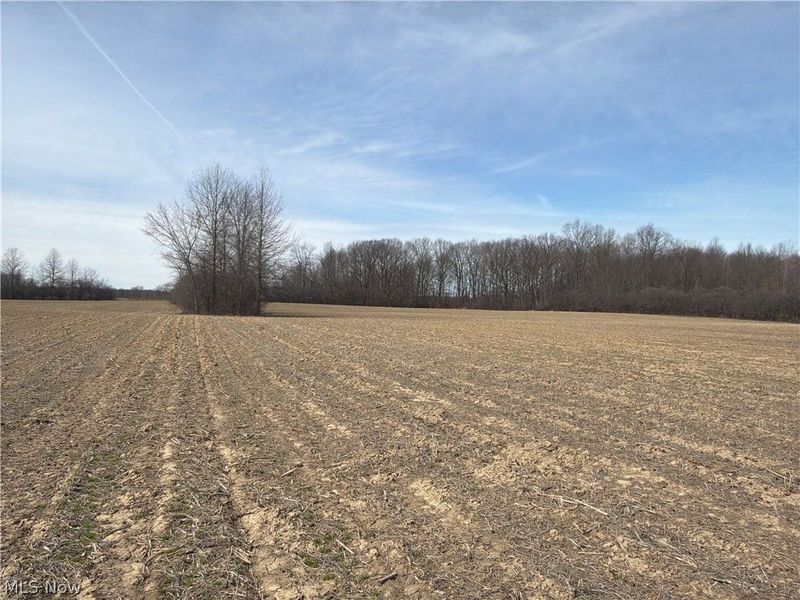 Us-20, Oberlin, OH 44074 Photo 28