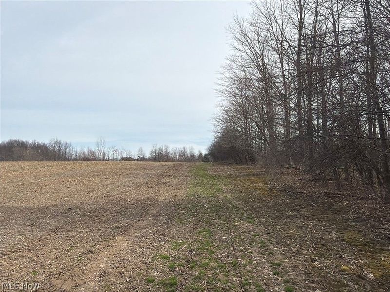 Us-20, Oberlin, OH 44074 Photo 31