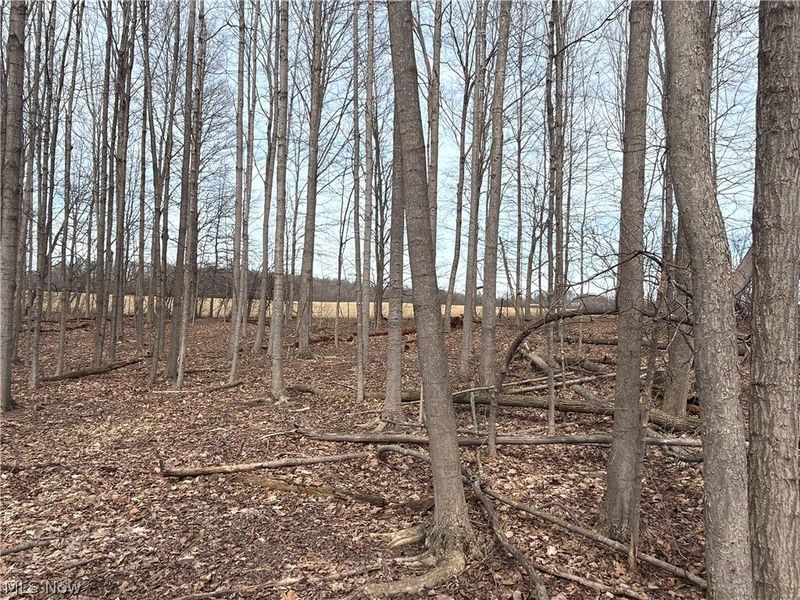 Us-20, Oberlin, OH 44074 Photo 34