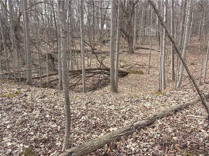 Us-20, Oberlin, OH 44074 Photo 35