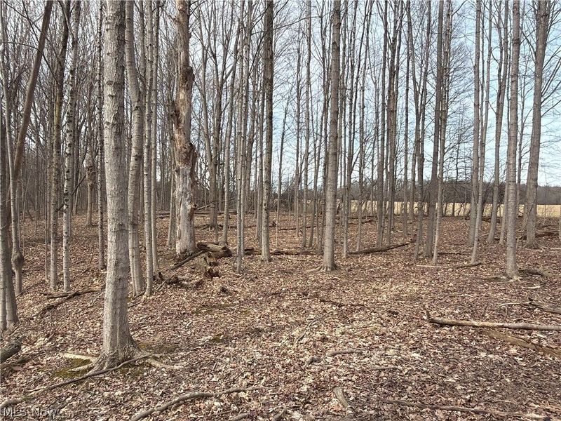 Us-20, Oberlin, OH 44074 Photo 36