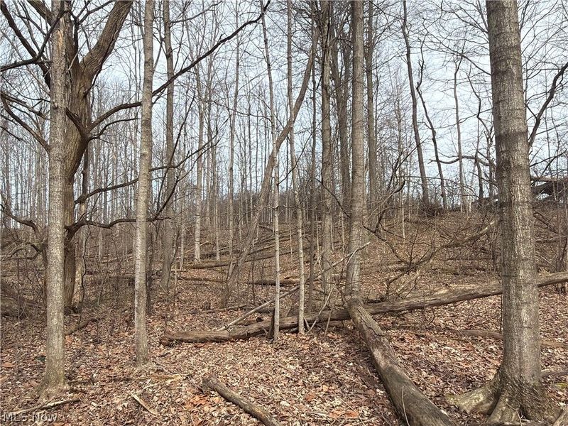 Us-20, Oberlin, OH 44074 Photo 37