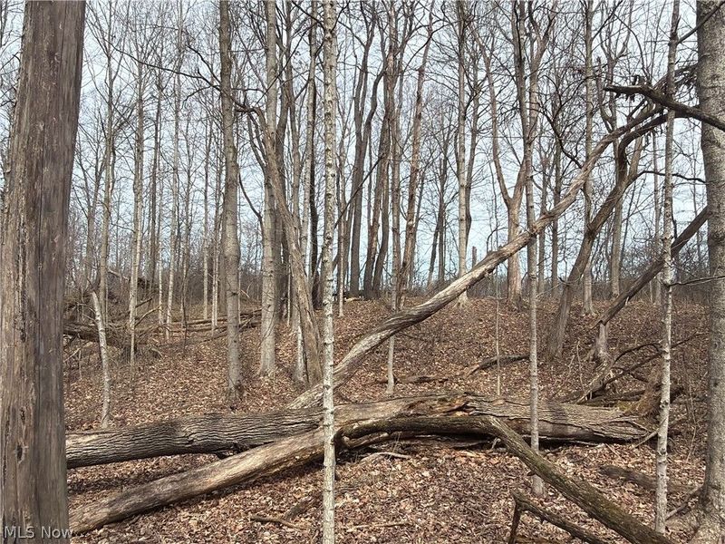 Us-20, Oberlin, OH 44074 Photo 39