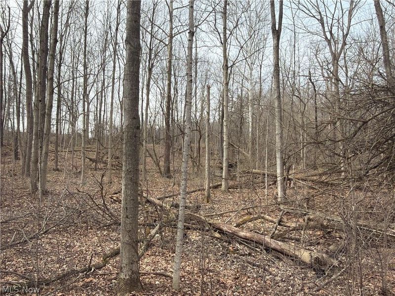 Us-20, Oberlin, OH 44074 Photo 40