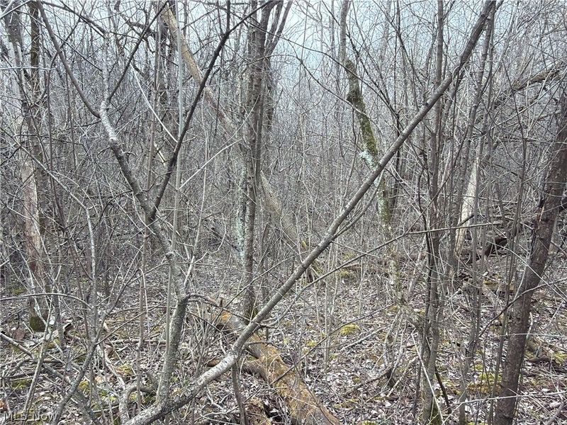 Us-20, Oberlin, OH 44074 Photo 41