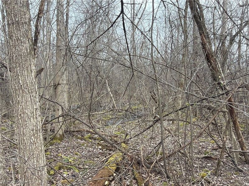 Us-20, Oberlin, OH 44074 Photo 42