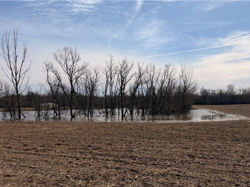 Us-20, Oberlin, OH 44074 Photo 5