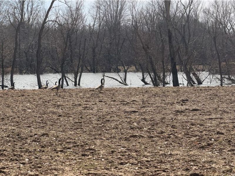 Us-20, Oberlin, OH 44074 Photo 9