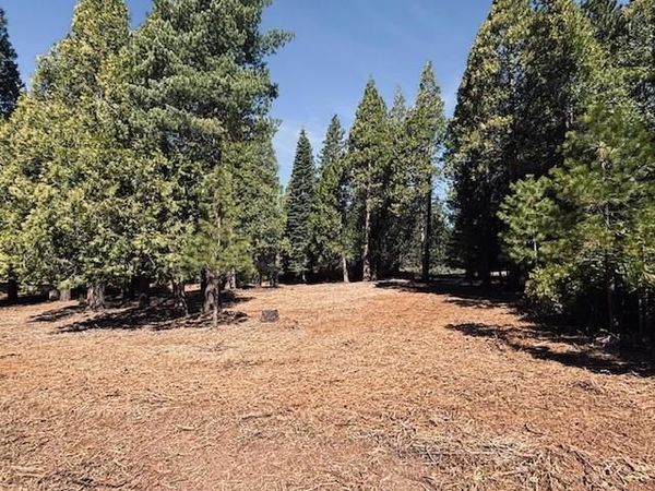 790 Red River Drive, Lake Almanor, CA 96137