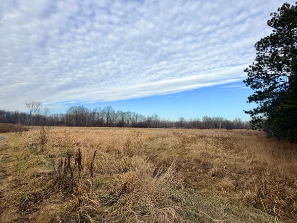 XX Forest Boulevard , Rush City, MN 55069