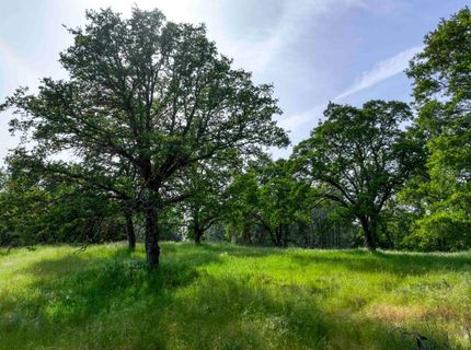 1301 Lomita Ct, El Dorado Hills, CA 95762 Photo