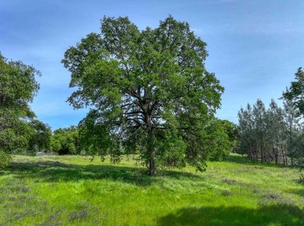 1301 Lomita Ct, El Dorado Hills, CA 95762 Photo