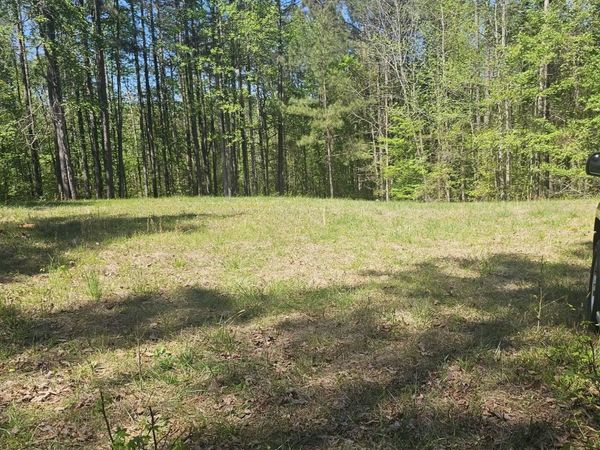 1041 Pintail Lane, Madison, GA 30650