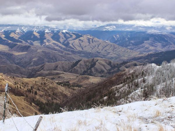 478 Deer Gulch Rd, CottonWood, ID 83522