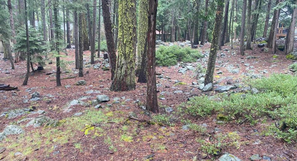 5 Yana Trail, Graeagle, CA 96103 Photo