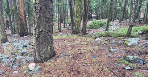 5 Yana Trail, Graeagle, CA 96103 Photo