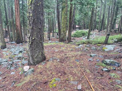 5 Yana Trail, Graeagle, CA 96103 Photo