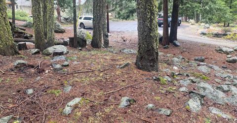 5 Yana Trail, Graeagle, CA 96103 Photo