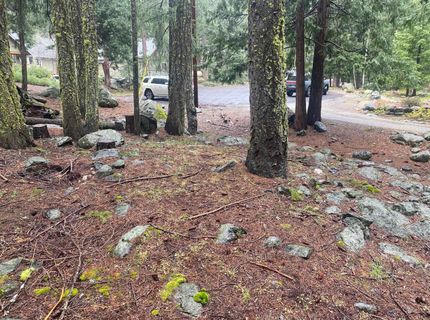 5 Yana Trail, Graeagle, CA 96103 Photo