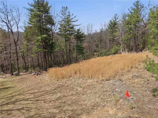 Lot 109 & 110 Pepper Bush Road , Purlear, NC 28665