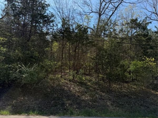 TBD Napoleon Dr., Bonne Terre, MO 63628