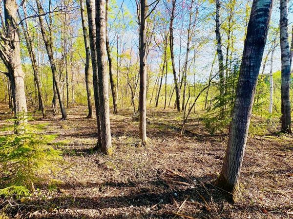 TBD Mallard Place , Sandstone, MN 55072