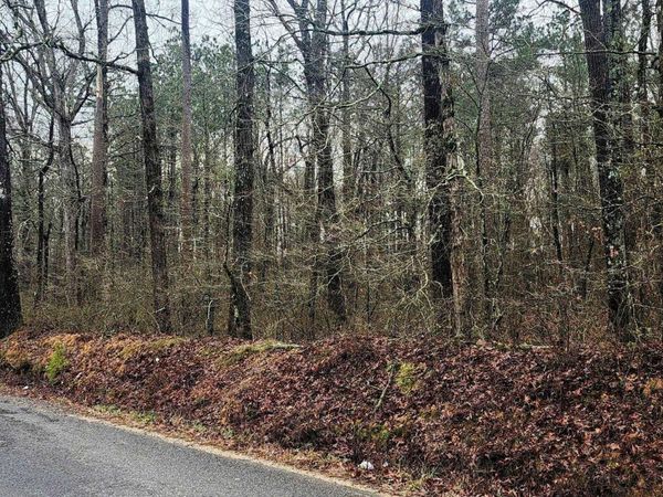 Lot 3 Smith Road, Rison, AR 71665