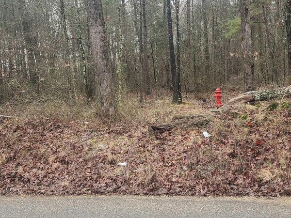 Lot 4 Smith Road, Rison, AR 71665